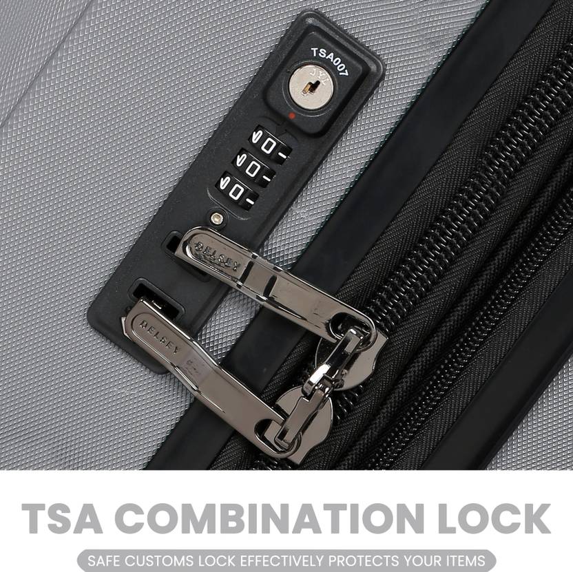 Delsey Depart (Silver)