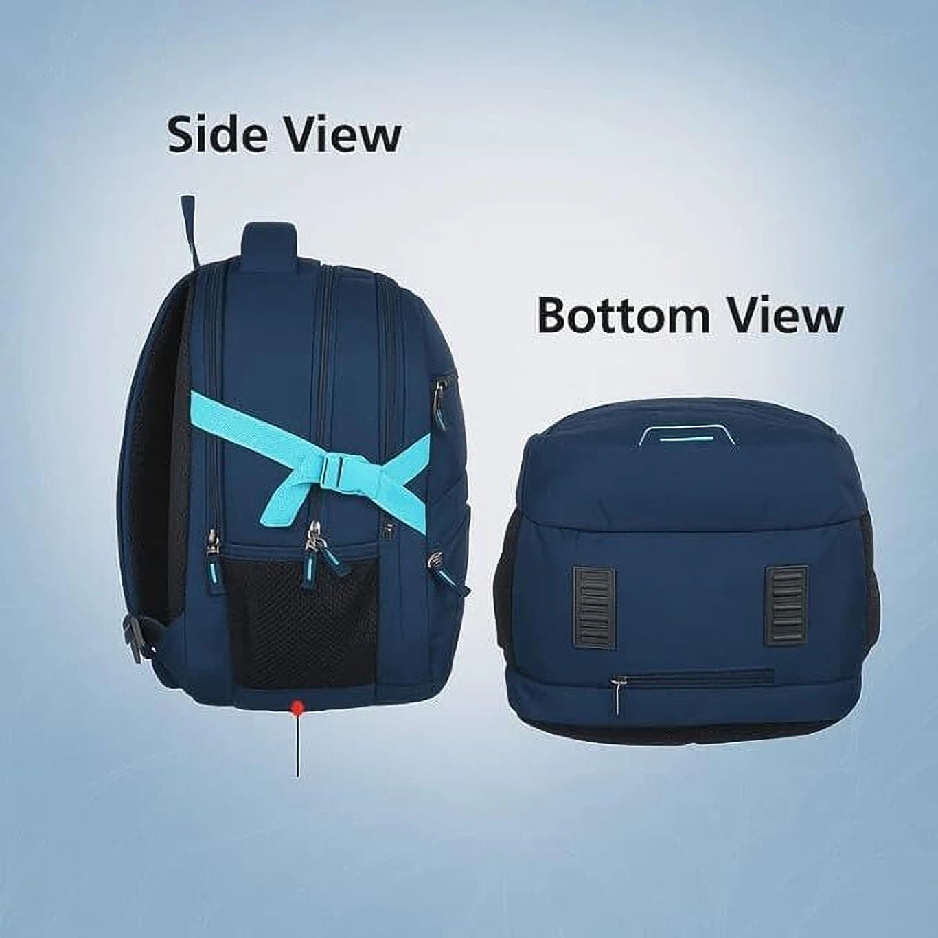 Safari Peak (Navy Blue)