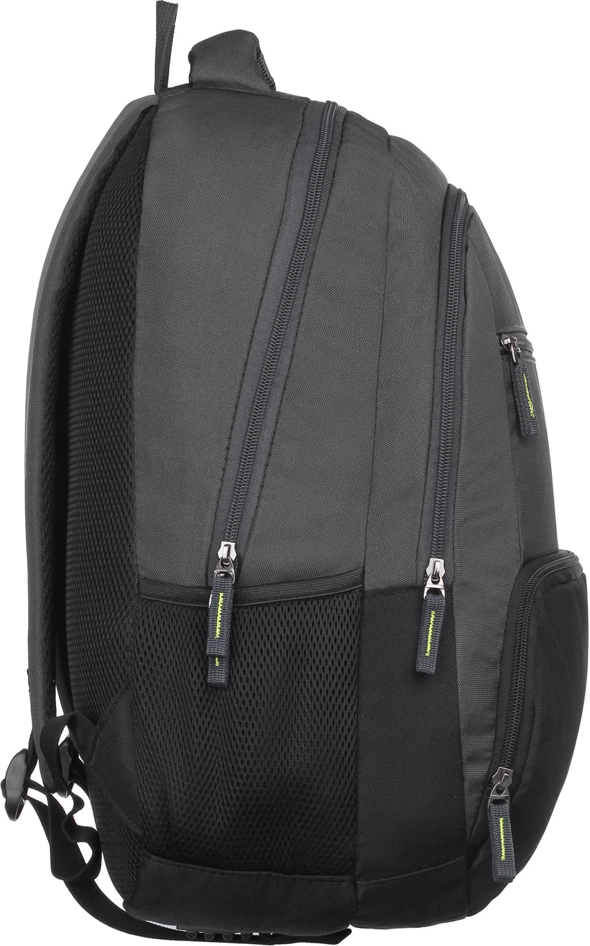 Safari Base (Dark Grey)