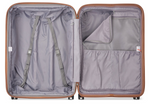 Delsey Promenade 2.0 (Silver)