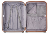 Delsey Promenade 2.0 (Silver)