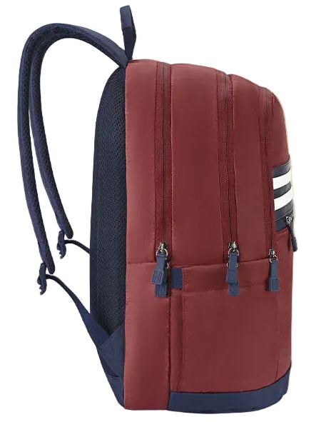 Tommy Hilfiger Travik (Burgundy + Navy)