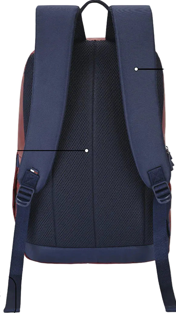 Tommy Hilfiger Travik (Burgundy + Navy)