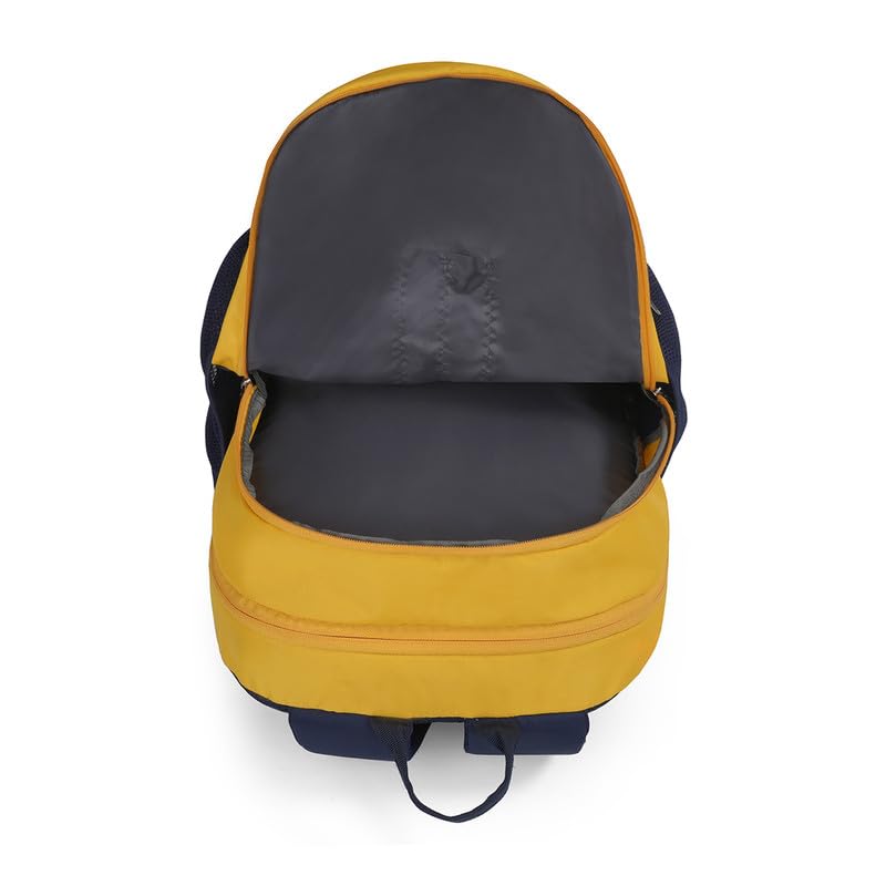 UCB Wilder (Yellow & Navy)